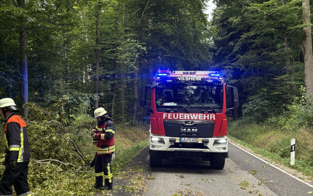 Einsatz Nr. 2026/14