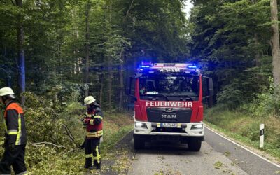 Einsatz Nr. 2026/15